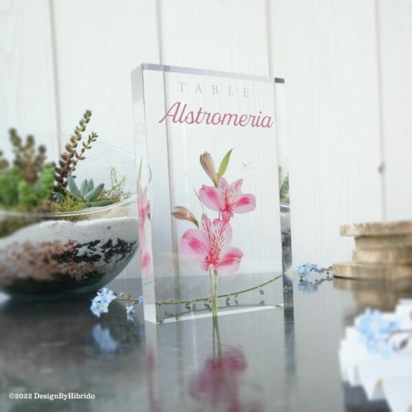 Numéro de table fleur : Alstromeria