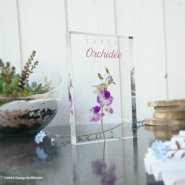 nom de table : Orchidée
