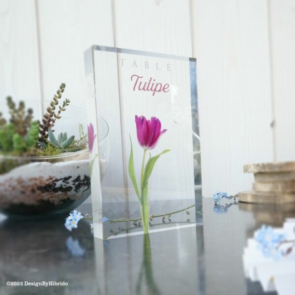 Bloc transparent avec tulipe